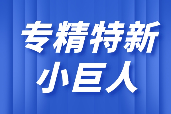 專精特新小巨人企業(yè)的主要特征，小巨人企業(yè)的重點(diǎn)領(lǐng)域