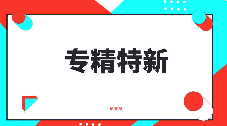 專精特新，專精特新小巨人