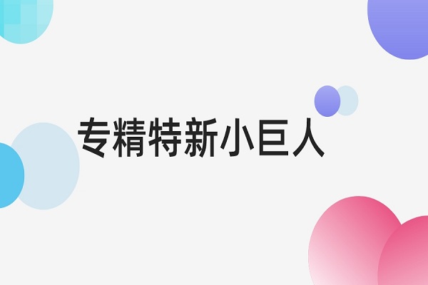 專精特新小巨人認定標(biāo)準(zhǔn)是什么，專精特新小巨人申報條件