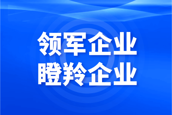 2021年中山火炬區(qū)領(lǐng)軍及“瞪羚”企業(yè)認(rèn)定及專(zhuān)項(xiàng)扶持資金申報(bào)