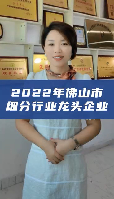 佛山市細(xì)分行業(yè)龍頭企業(yè)認(rèn)定，申報條件、獎勵政策