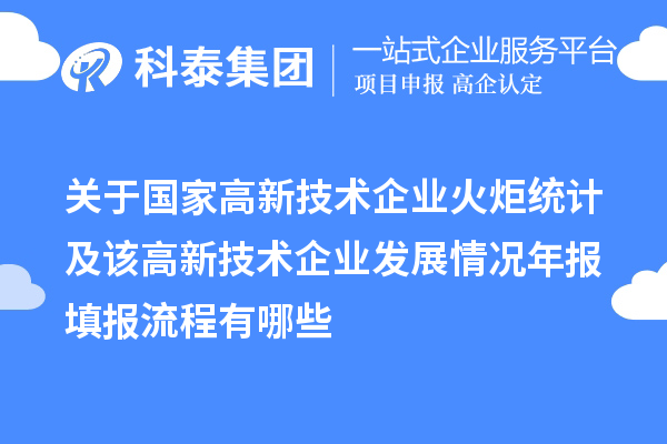 關于國家高新技術企業(yè)火炬統(tǒng)計及該高新技術企業(yè)發(fā)展情況年報填報流程有哪些