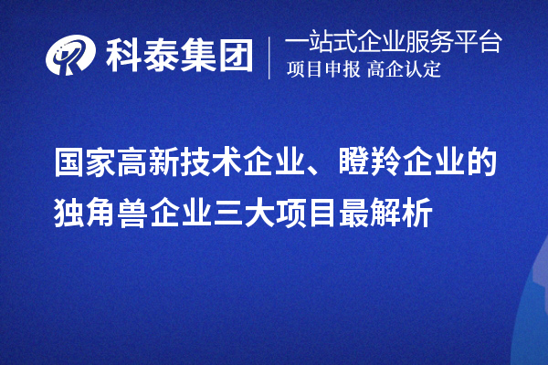 國家高新技術企業(yè)、瞪羚企業(yè)的獨角獸企業(yè)三大項目最解析