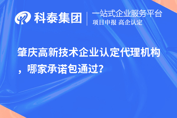 肇慶高新技術(shù)企業(yè)認定代理機構(gòu)，哪家承諾包通過？