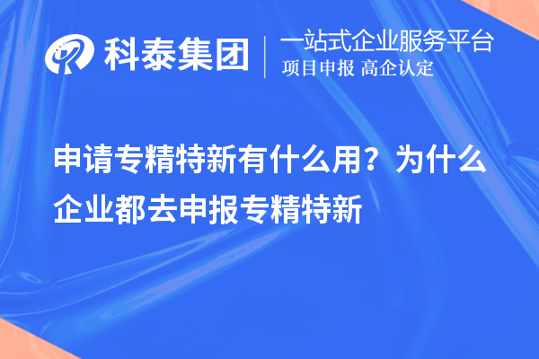 申請(qǐng)專精特新有什么用？為什么企業(yè)都去申報(bào)專精特新