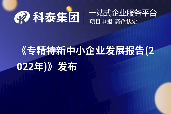《專(zhuān)精特新中小企業(yè)發(fā)展報(bào)告(2022年)》發(fā)布