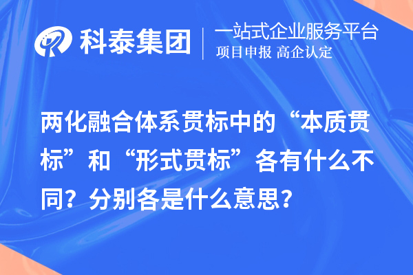 兩化融合體系貫標(biāo)中的“本質(zhì)貫標(biāo)”和“形式貫標(biāo)”各有什么不同？分別各是什么意思？