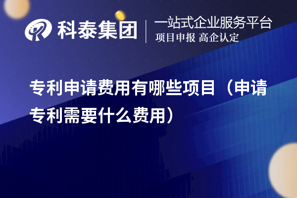 專(zhuān)利申請(qǐng)費(fèi)用有哪些項(xiàng)目（申請(qǐng)專(zhuān)利需要什么費(fèi)用）