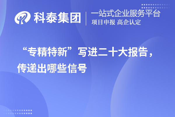 “專精特新”寫進二十大報告，傳遞出哪些信號