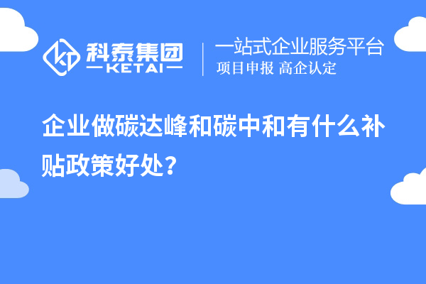 企業(yè)做碳達(dá)峰和碳中和有什么補(bǔ)貼政策好處？