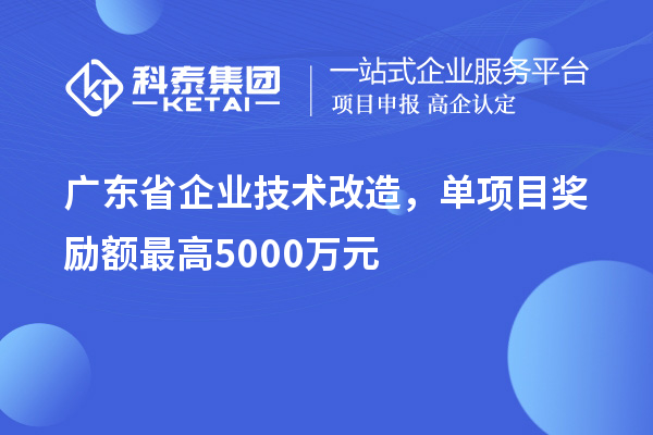 廣東省企業(yè)技術(shù)改造，單項目獎勵額最高5000萬元！