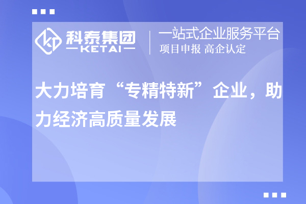 大力培育“專精特新”企業(yè)，助力經(jīng)濟(jì)高質(zhì)量發(fā)展