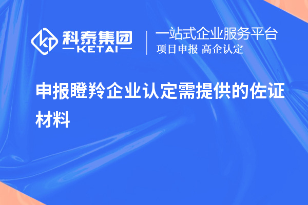 申報瞪羚企業(yè)認定需提供的佐證材料