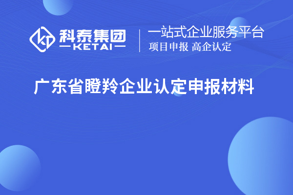 廣東省瞪羚企業(yè)認定申報材料