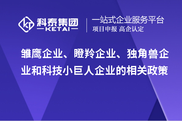 雛鷹企業(yè)、瞪羚企業(yè)、獨角獸企業(yè)和科技小巨人企業(yè)的相關(guān)政策