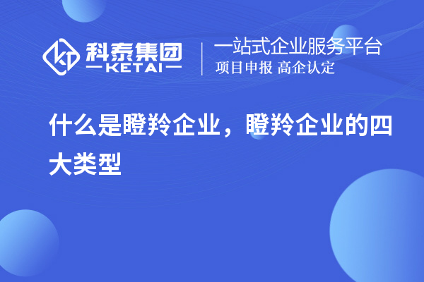 什么是瞪羚企業(yè)，瞪羚企業(yè)的四大類型