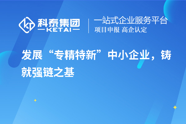 發(fā)展“專精特新”中小企業(yè)，鑄就強(qiáng)鏈之基