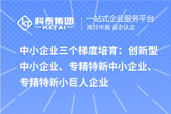 中小企業(yè)三個(gè)梯度培育：創(chuàng)新型中小企業(yè)、專精特新中小企業(yè)、專精特新小巨人企業(yè)