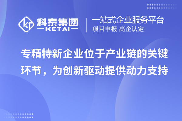 專精特新企業(yè)位于產(chǎn)業(yè)鏈的關(guān)鍵環(huán)節(jié)，為創(chuàng)新驅(qū)動(dòng)提供動(dòng)力支持