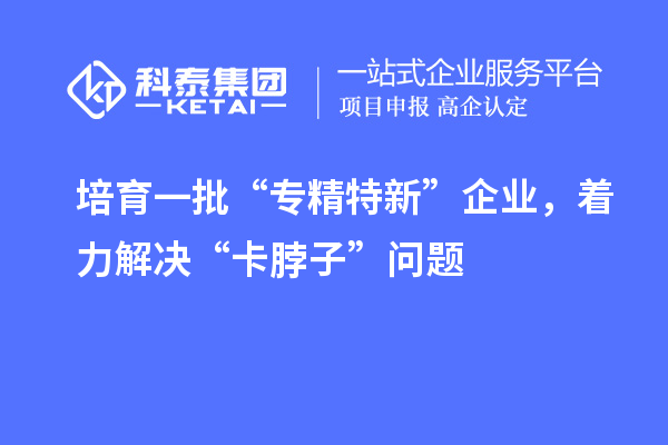 培育一批“專精特新”企業(yè)，著力解決“卡脖子”問題