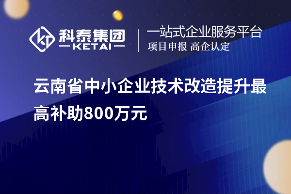 云南省中小企業(yè)技術(shù)改造提升最高補(bǔ)助800萬(wàn)元