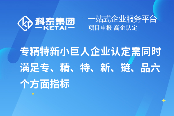 專精特新小巨人企業(yè)認(rèn)定需同時(shí)滿足專、精、特、 新、鏈、品六個(gè)方面指標(biāo)