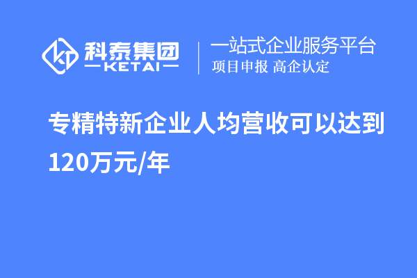 專(zhuān)精特新企業(yè)人均營(yíng)收可以達(dá)到 120萬(wàn)元/年