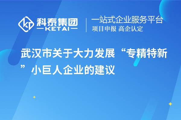 武漢市關于大力發(fā)展“專精特新”小巨人企業(yè)的建議