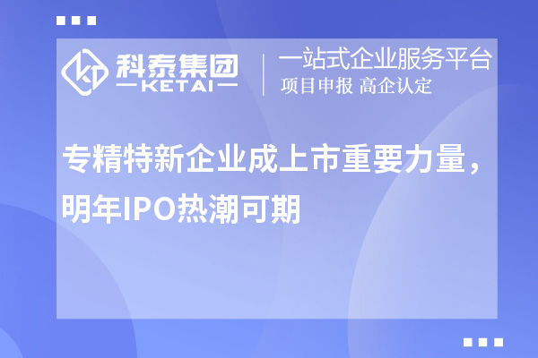 專(zhuān)精特新企業(yè)成上市重要力量，明年IPO熱潮可期