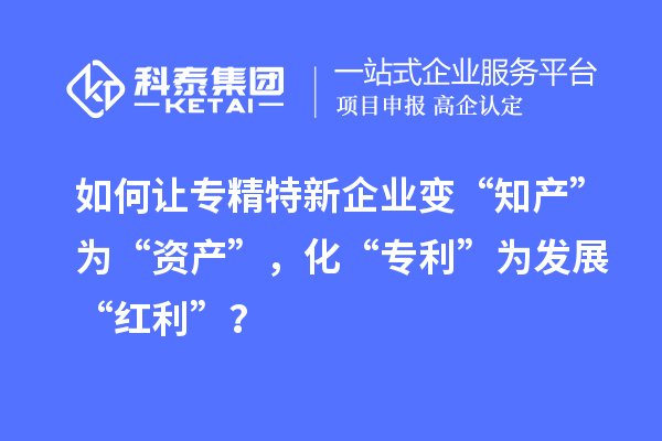 如何讓專精特新企業(yè)變“知產(chǎn)”為“資產(chǎn)”，化“專利”為發(fā)展“紅利”？