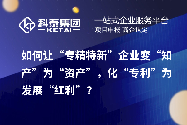 如何讓“專精特新”企業(yè)變“知產(chǎn)”為“資產(chǎn)”，化“專利”為發(fā)展“紅利”？