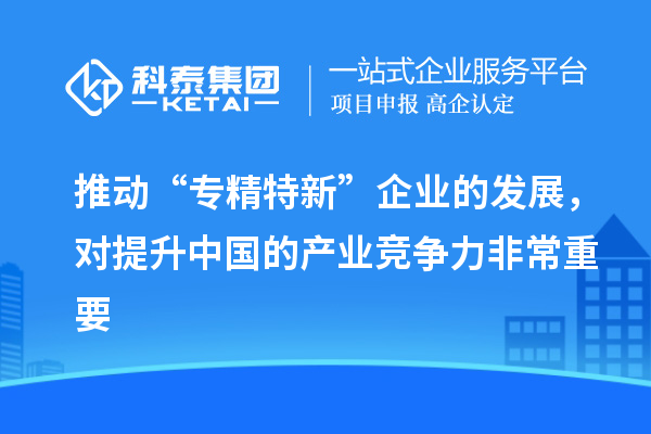 推動(dòng)“專精特新”企業(yè)的發(fā)展，對(duì)提升中國的產(chǎn)業(yè)競爭力非常重要