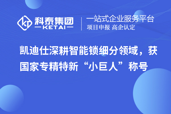 凱迪仕深耕智能鎖細分領(lǐng)域，獲國家專精特新“小巨人”稱號