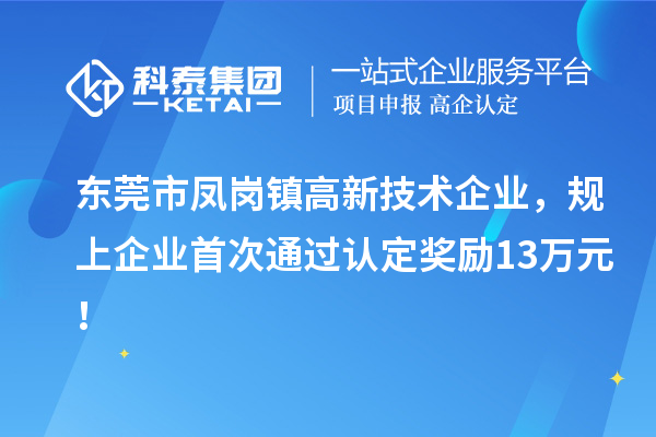 東莞市鳳崗鎮(zhèn)高新技術(shù)企業(yè)，規(guī)上企業(yè)首次通過認定獎勵13萬元！