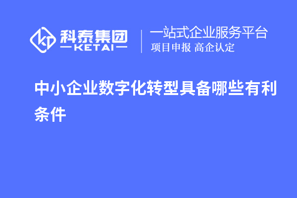 中小企業(yè)數(shù)字化轉型具備哪些有利條件