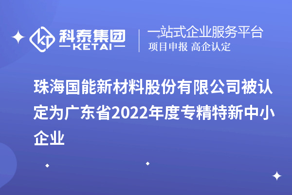 國(guó)能新材被認(rèn)定為廣東省2022年度專(zhuān)精特新中小企業(yè)