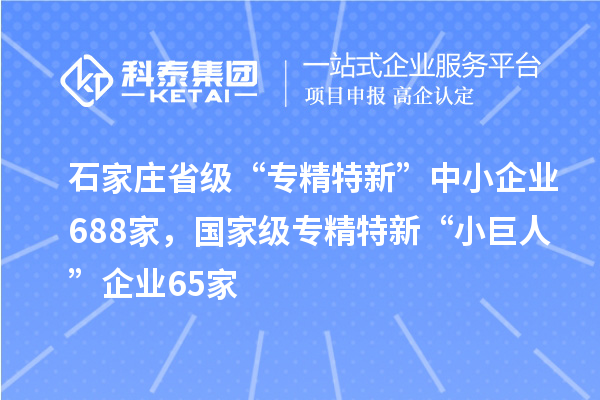 石家莊省級(jí)“專精特新”中小企業(yè)688家，國(guó)家級(jí)專精特新“小巨人”企業(yè)65家