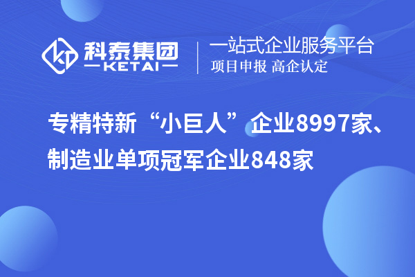 專精特新“小巨人”企業(yè)8997家、制造業(yè)單項冠軍企業(yè)848家