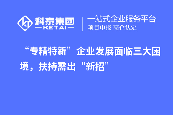 “專精特新”企業(yè)發(fā)展面臨三大困境，扶持需出“新招”