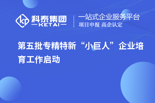 第五批專(zhuān)精特新“小巨人”企業(yè)培育工作啟動(dòng)
