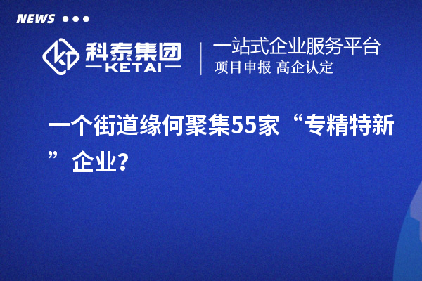 一個(gè)街道緣何聚集55家“專精特新”企業(yè)？