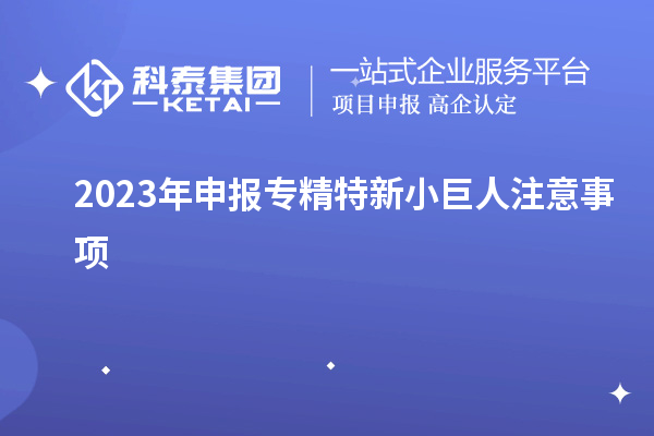 2023年申報(bào)專精特新小巨人注意事項(xiàng)