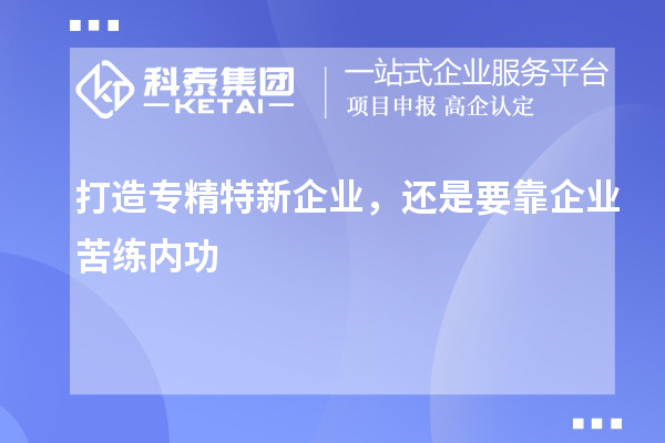 打造專精特新企業(yè)，還是要靠企業(yè)苦練內(nèi)功