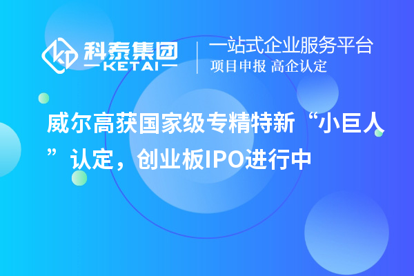 威爾高獲國家級專精特新“小巨人”認(rèn)定，創(chuàng)業(yè)板IPO進(jìn)行中