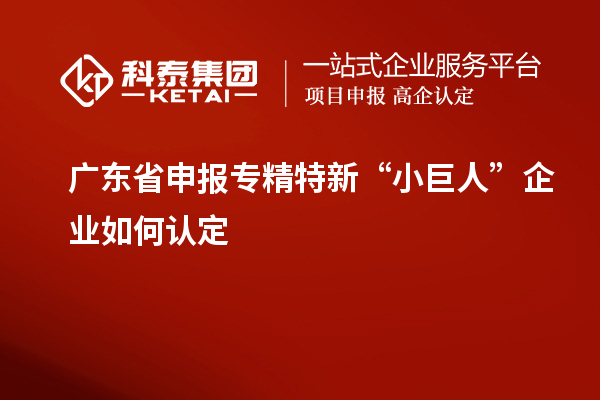 廣東省申報專精特新“小巨人”企業(yè)如何認定