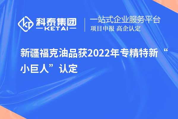 新疆?？擞推帆@2022年專精特新“小巨人”認定