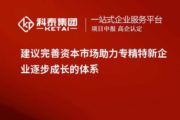 建議完善資本市場(chǎng)助力專(zhuān)精特新企業(yè)逐步成長(zhǎng)的體系