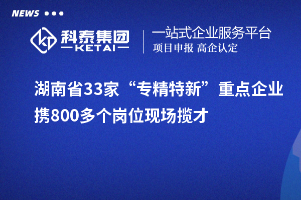 湖南省33家“專(zhuān)精特新”重點(diǎn)企業(yè)攜800多個(gè)崗位現(xiàn)場(chǎng)攬才