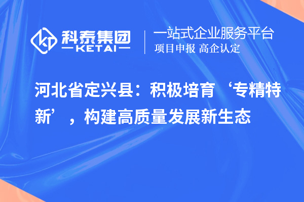 河北省定興縣：積極培育‘專精特新’，構(gòu)建高質(zhì)量發(fā)展新生態(tài)