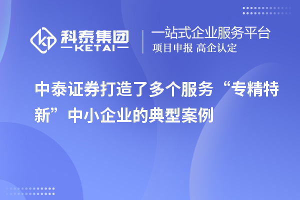 中泰證券打造了多個(gè)服務(wù)“專(zhuān)精特新”中小企業(yè)的典型案例